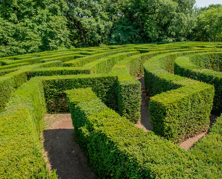 Labyrinth in botanical garden