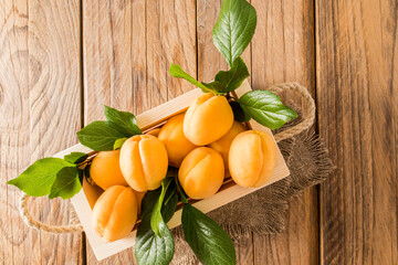 top view of a wooden box with rope handles filled with ripe juicy apricots. the background is made...