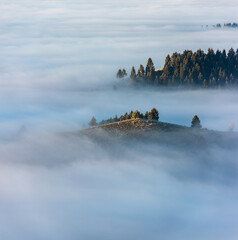 Misty autumn landscape with trees in Eastern Carpathian mountains, Romania. - 544785331