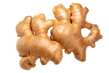 Ginger isolated on white background , Fresh Ginger root on white PNG File.