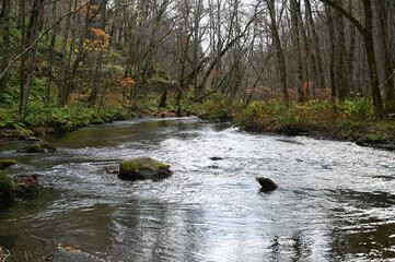 奥入瀬渓流