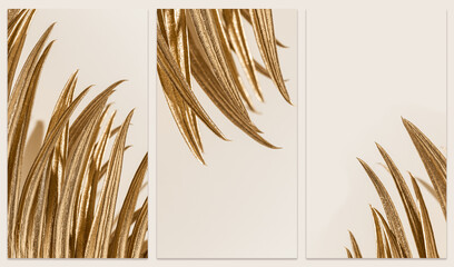 Golden palm leaf close up as trend design background, beige monochrome image. Smooth  lines of golden tropical plant, beautiful elegant nature. Fashion style vertical Set of stories templates