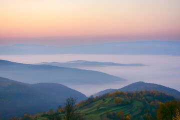 Fototapeta na wymiar misty autumn morning. gorgeous countryside scenery in mountains at dawn. forested hills and glowing fog in the distance valley