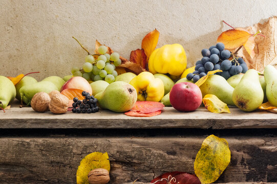 autumn crop on the wooden board. lots of ripe fruits. natural grown food and rural lifestyle