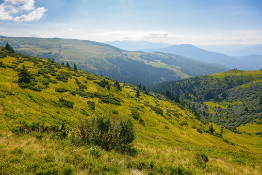 picturesque view of carpathian mountains. green landscape with hills rolling in to the distant ridge. alpine meadows beneath a sky with clouds on a warm summer day