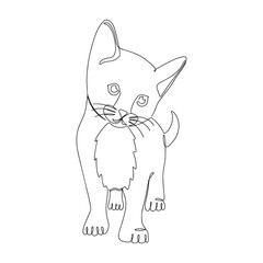 Cute kitten in one line. Continuous linear drawing of a pet.Minimalist one-line drawing.