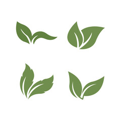 Collection of green leaf icons set on white background for design elements vector illustration