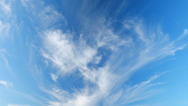 Tropical summer sunlight. White and blue cirrus clouds background. Tropical summer morning bright sunlight. Timelapse.