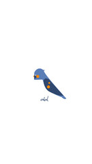 colorful bird illustration vector