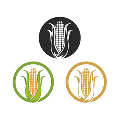 Corn logo illustration vector