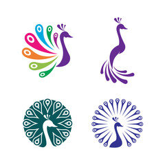 Fototapeta na wymiar Peacock logo illustration