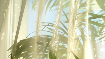 transparent curtain on the window, gently moved by the wind. sunlight. sun's rays shine through the...