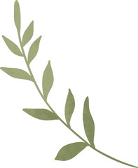 Watercolor leaf branch illustration