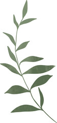 Watercolor leaf branch illustration
