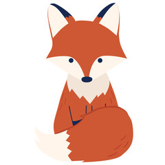 Red fox vector illustration in flat color design