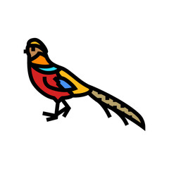 golden pheasant bird exotic color icon vector. golden pheasant bird exotic sign. isolated symbol illustration