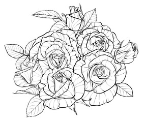 Flower composition, a bouquet. Large rosebuds. Illustration sketch in black and white style. Vector. Antistress coloring.