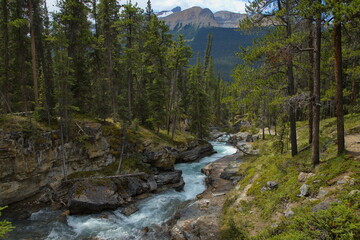 Fototapeta na wymiar Beauty creek at Stanley Falls in Jasper National Park,Alberta,Canada,North America 