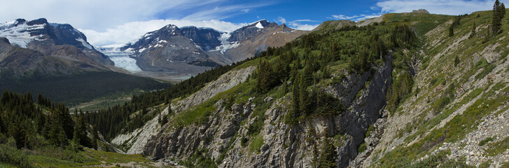 Fototapeta na wymiar Landscape at hiking track to Wilcox Pass in Jasper National Park,Alberta,Canada,North America 
