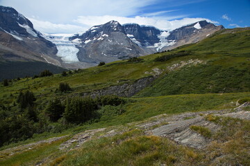 Landscape at hiking track to Wilcox Pass in Jasper National Park,Alberta,Canada,North America
