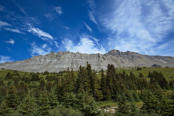 Obraz premium Landscape on Wilcox Pass in Jasper National Park,Alberta,Canada,North America 