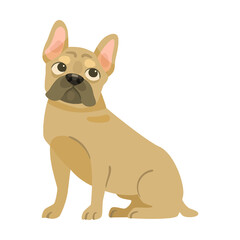 Cute French bulldog, cartoon illustration. Funny and adorable puppy lying on back, sitting and playing on white background