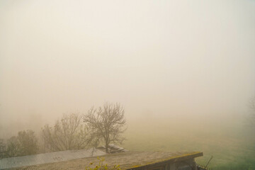 The fog.Silhouettes of trees in the fog.Morning.Dense fog.Almost invisible.Misty autumn morning.