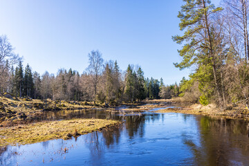 Fototapeta premium River in a beautiful spring landscape
