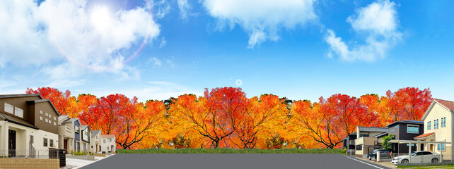 秋の紅葉が美しい戸建て住宅の街並み風景	
