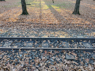 Railway and autumn leaves in the park. In Baia Mare city, Romania