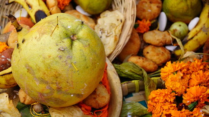 Chhath Puja ,Hindu devotee offer prasad ,fruits, vegetables