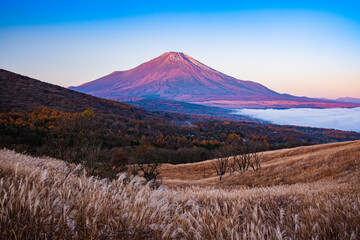 富士山と紅葉