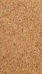 background of rice