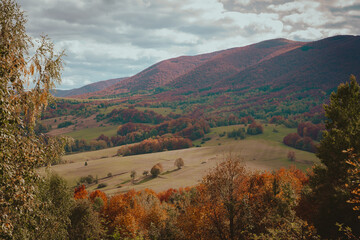 autumn landscape in the mountains