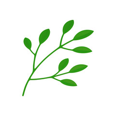 Obraz premium Green branch leaves foliage ecology environment natural plant gardening 3d icon realistic