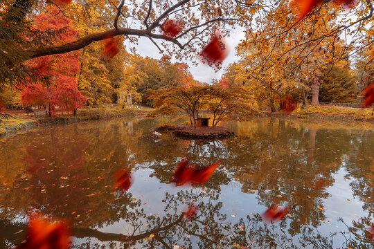 Parco di Monza in autumn, Park street view during autumn season, foliage colors are visible.