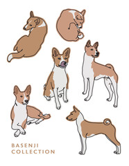 Basenji Dog Color Illustrations in Various Poses