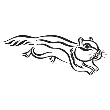 Calligraphic drawing of a running chipmunk on white background. Vector image. Linear drawing. Tattoo, logo design.