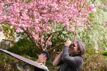 Father and son photographers shooting Sakura blossoms in springtime. The son assists with a...