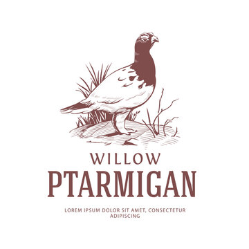 Vintage Logo with Willow Ptarmigan. Alaska State Bird