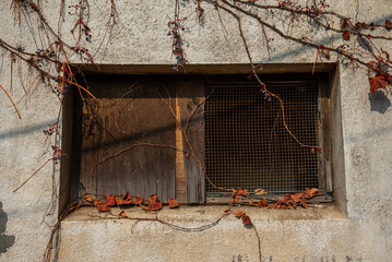 한국의 풍경 화성행궁 성곽의길 