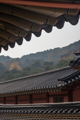 한국의 풍경 화성행궁 성곽의길 