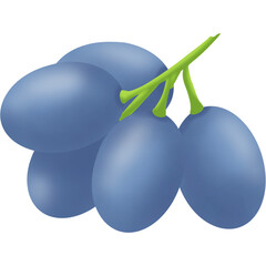 Grape fruit Illustration (2)
