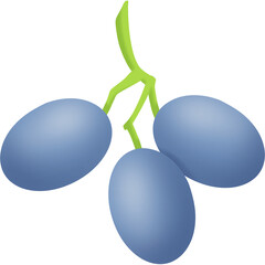 Grape fruit Illustration (5)