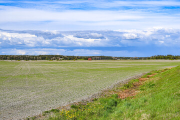 Farm landscape