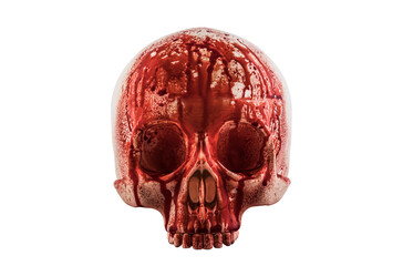 Human skull in blood isolated on white background with clipping path - obrazy, fototapety, plakaty