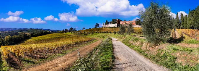 Foto op Plexiglas Italy, scenery of Tuscany. panoramic view of beautiful medieval castle Castello di Brolio in Chianti region surrounded by golden autumn vineyards © Freesurf