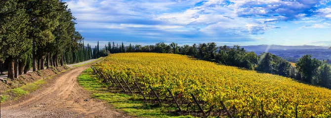 Foto op Canvas Italy, scenic Tuscany countryside. Golden autumn vineyards plantation in Chianti region, casello di Brolio © Freesurf