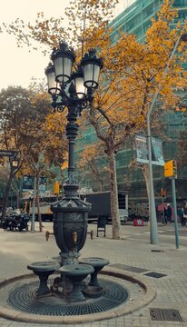 Oto&ntilde;o en la ciudad