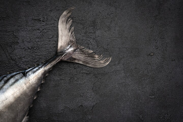 Bonito tail fin on black background